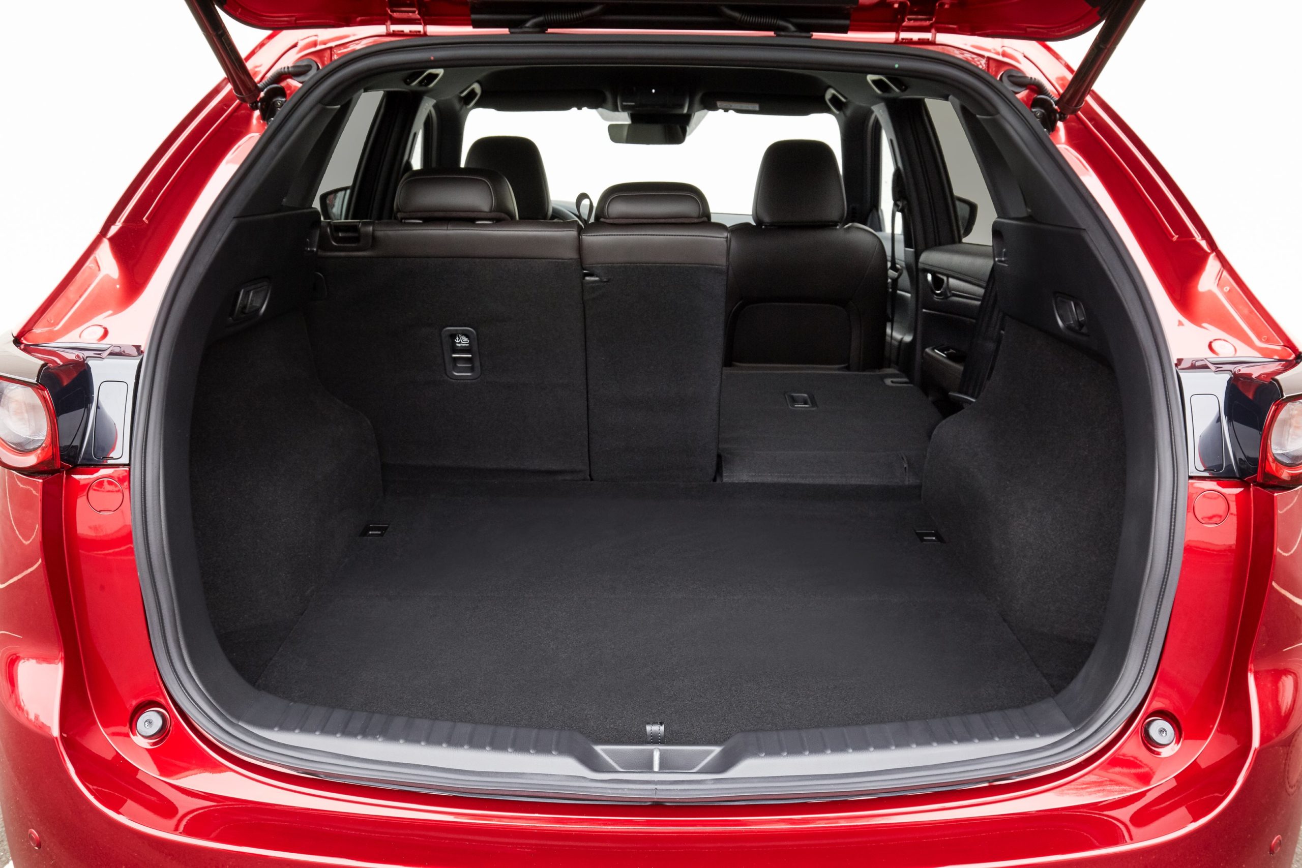 Hund im Kofferraum transportieren