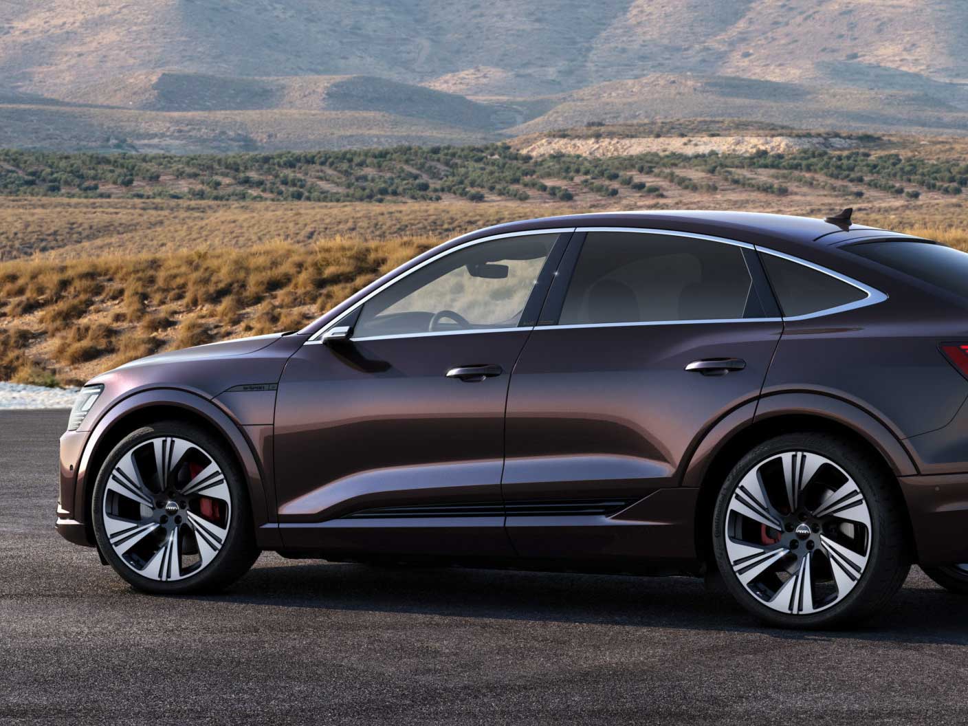 Audi Q8 e-tron Sportback