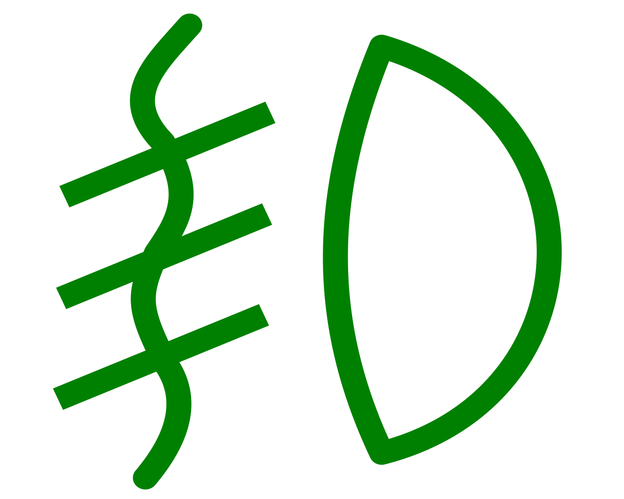 Kontrollleuchte_Nebelscheinwerfer