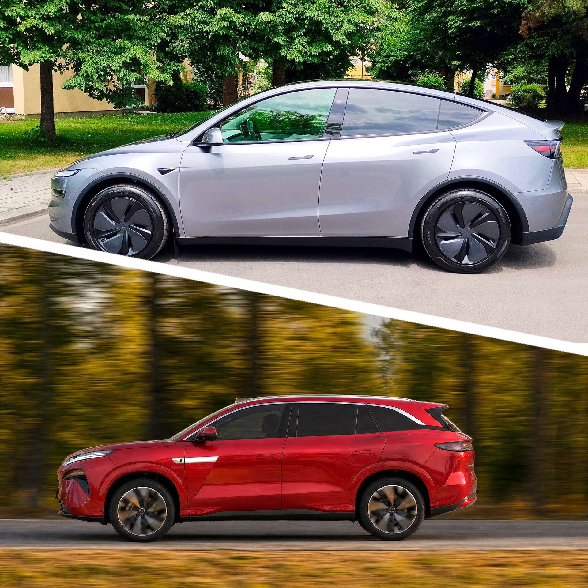 Tesla-BYD-Seite